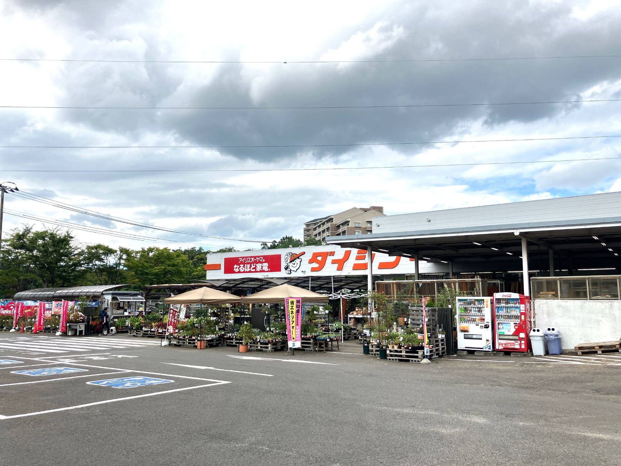 ダイシン桂店